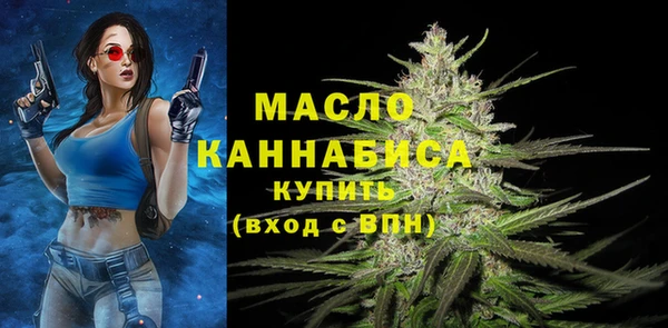 гашик Инсар