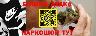 прущие грибы Балаково