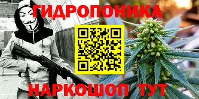 прущие грибы Балаково
