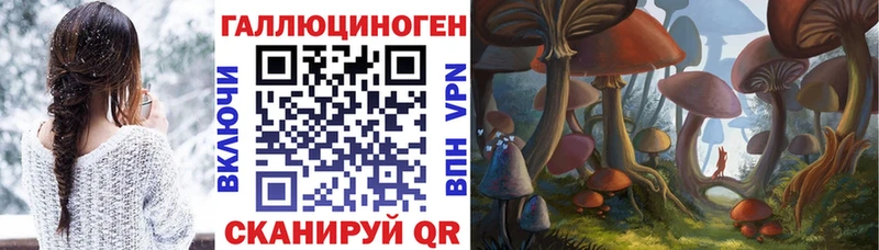 Галлюциногенные грибы ЛСД  магазин    Волгодонск 