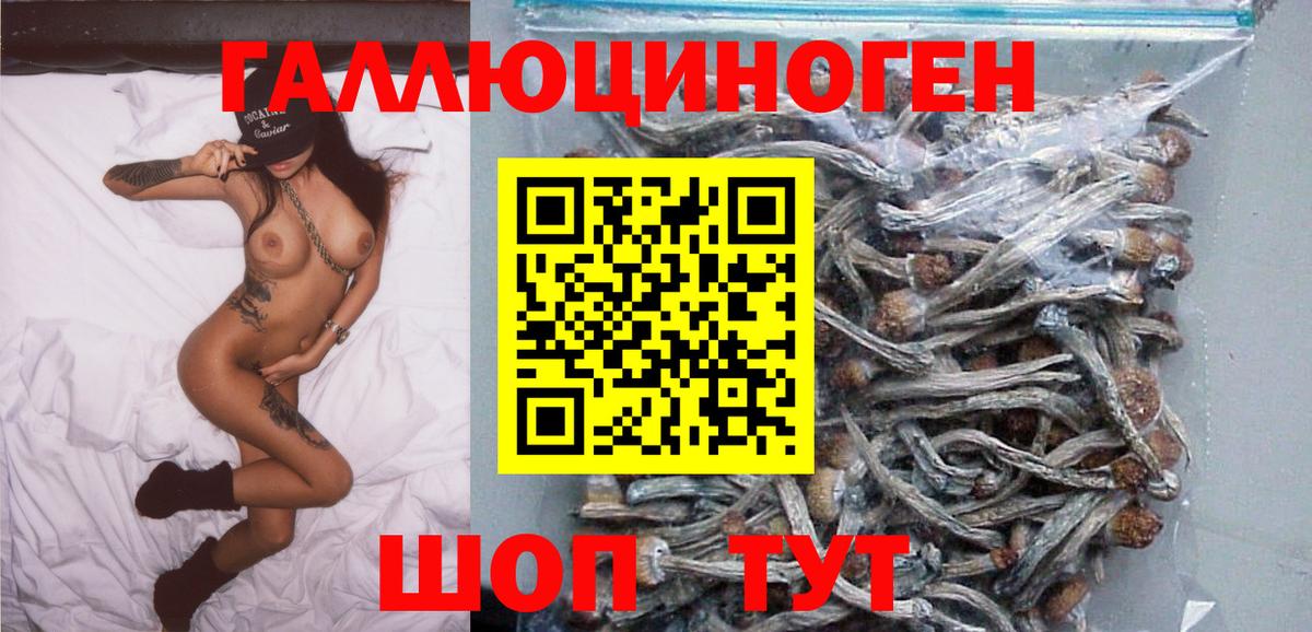 Галлюциногенные грибы GOLDEN TEACHER Волгодонск