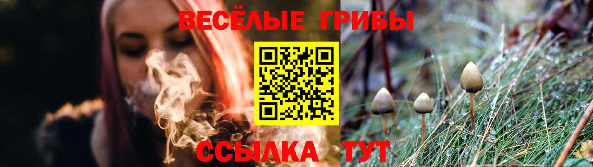 Волгодонск  Псилоцибиновые грибы прущие грибы  Псилоцибиновые грибы мухоморы  Вход с VPN 